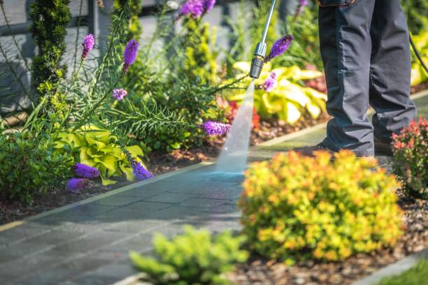 Best Concrete Surface Cleaning in Palmer, TX